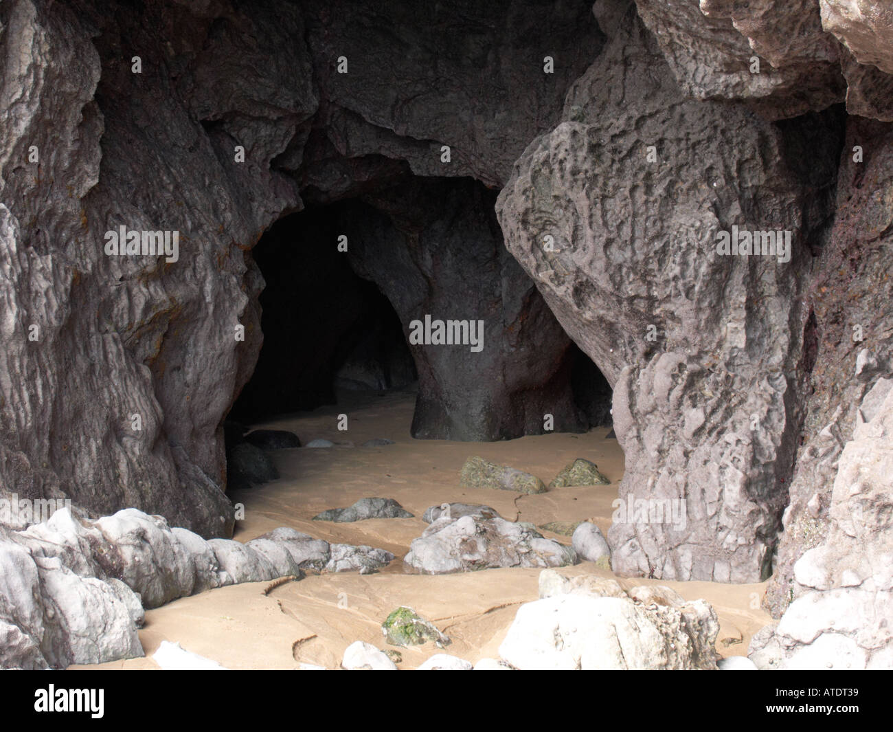 Stackpole Pembrokeshire caves in the cliff at Barafundle Bay Stock ...