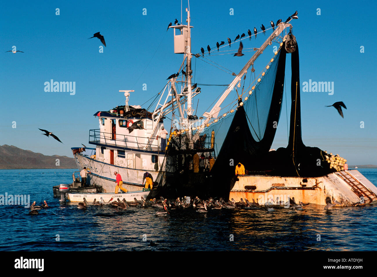 Sardine fishing Magdalena Bay Baja California Pacific Ocean Stock Photo