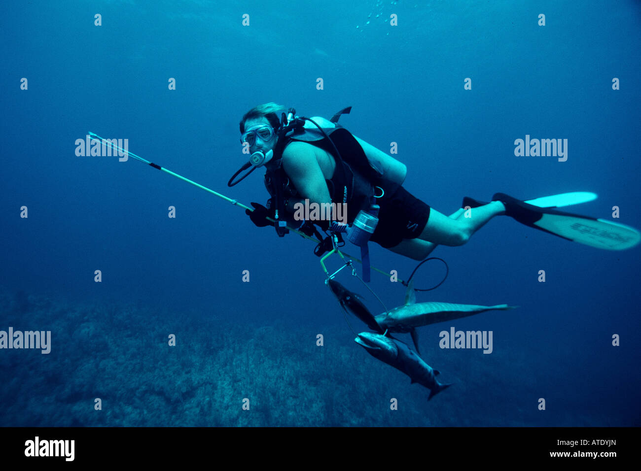 Diver unidentified with spear fishing gun on beach enters ocean waves Stock  Photo - Alamy