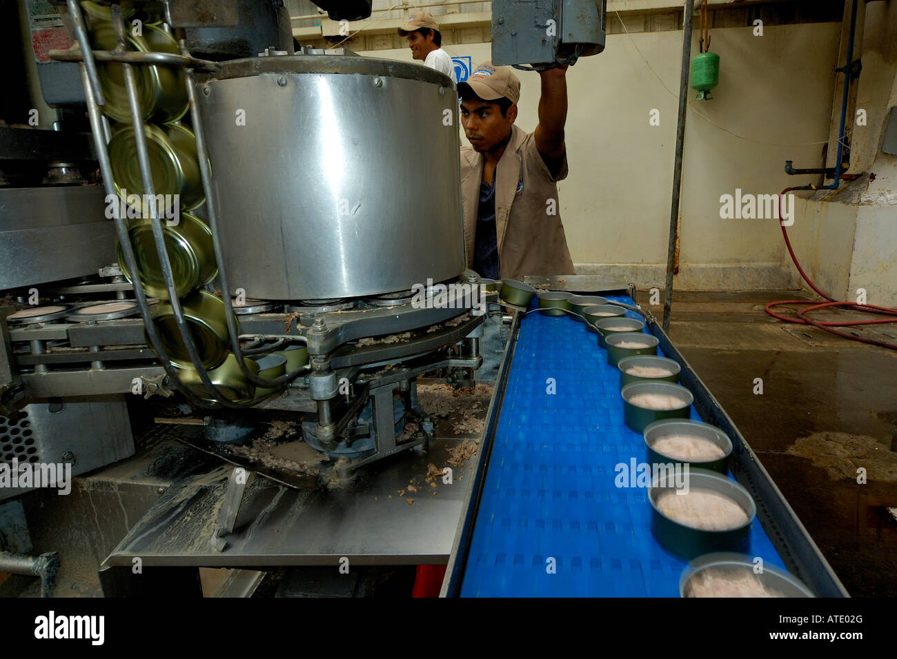 Sardine processing plant Mexico Stock Photo Alamy