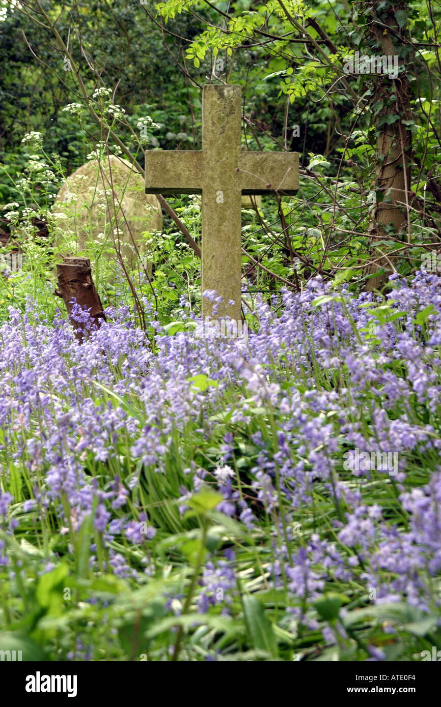 Nunhead cemetery in South London Stock Photo Alamy