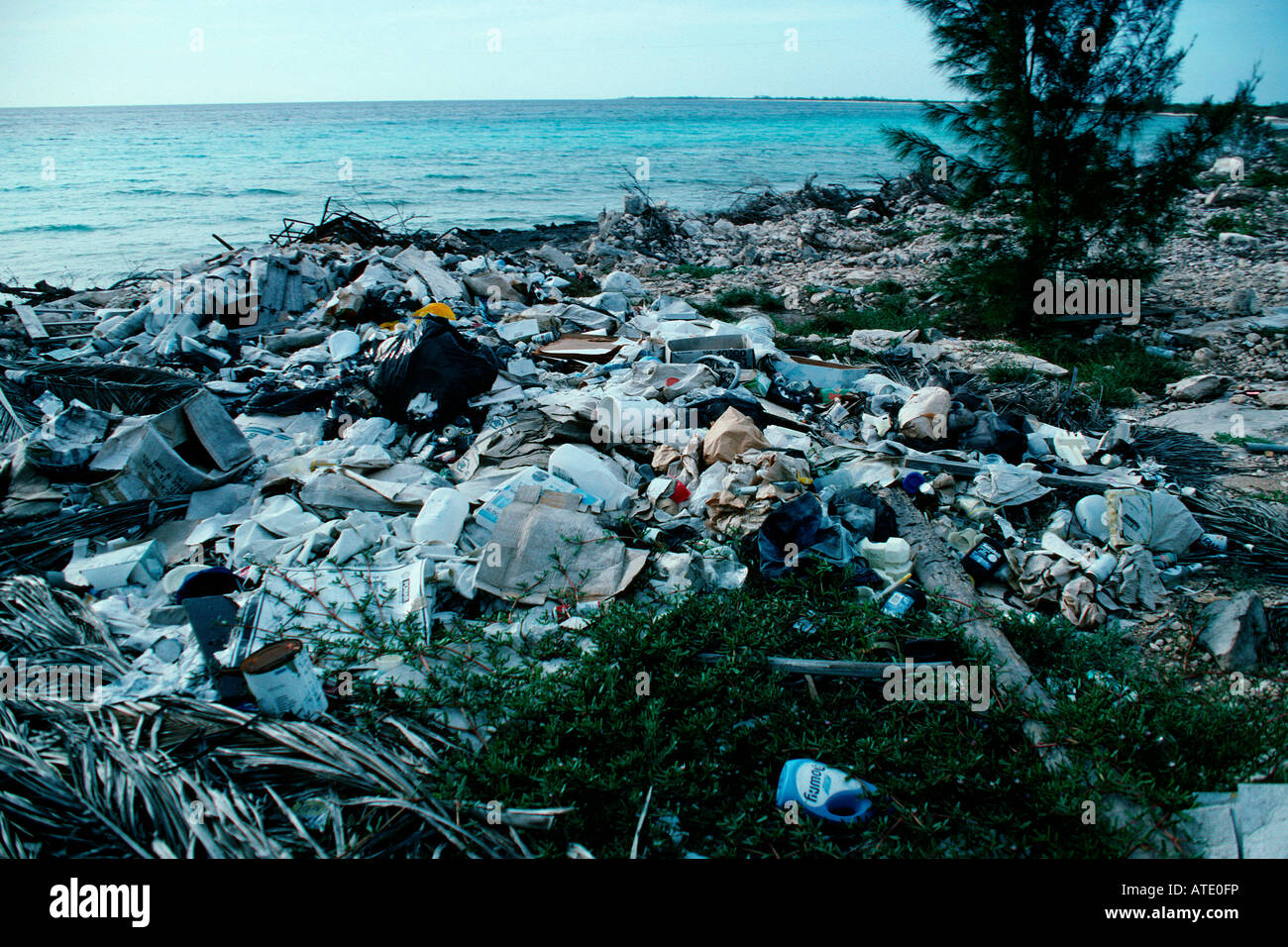 Coastal pollution Caribbean Atlantic Ocean Stock Photo: 16288569 - Alamy