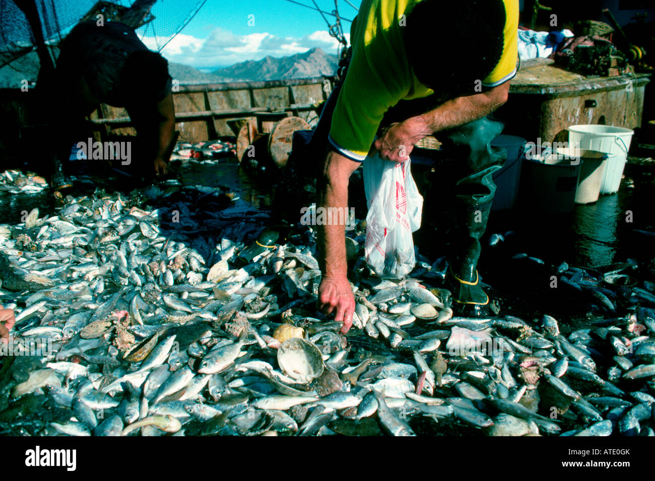 Shrimp commercial fishery using destructive otter trawl nets, Sea of Cortez, Mexico. Stock Photo