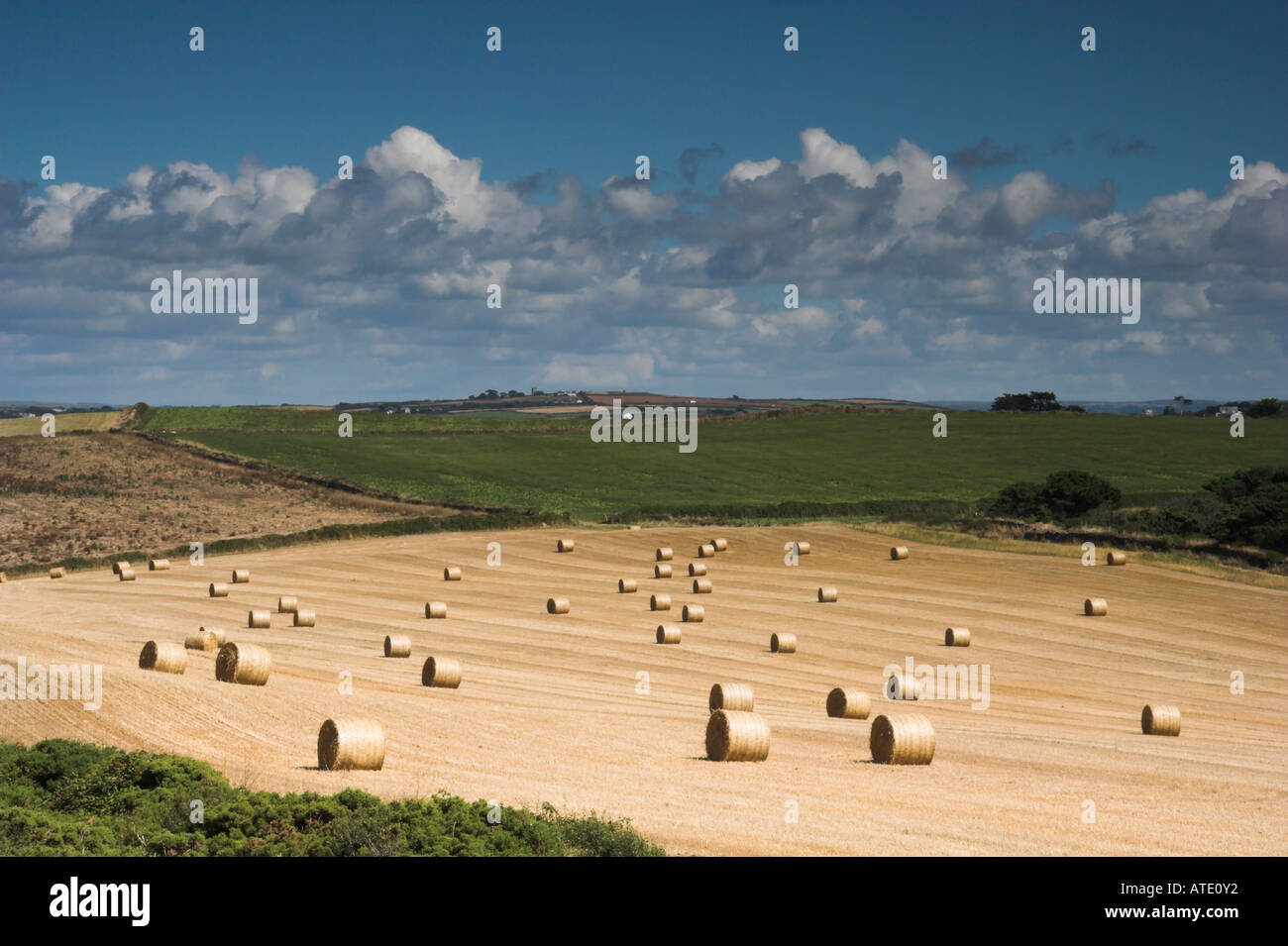 Golden field of hay bails near Carn Weather Cornwall UK. Stock Photo