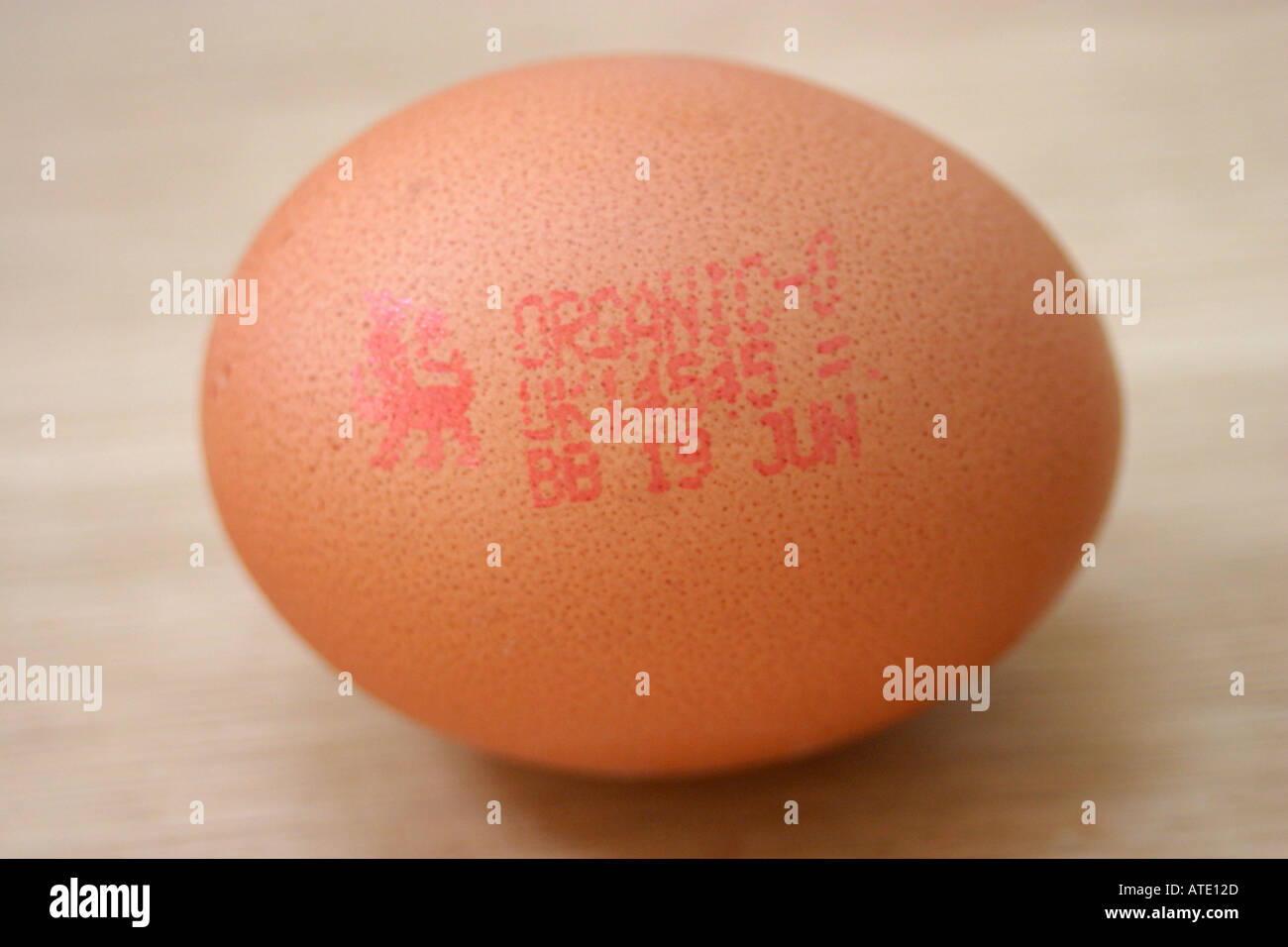 Organic Egg Stock Photo