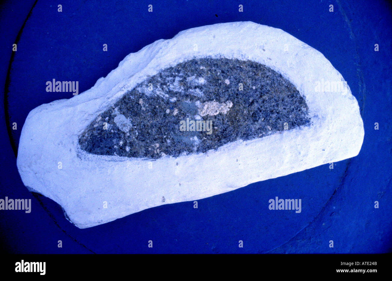 Greek rock plaster Stock Photo Alamy