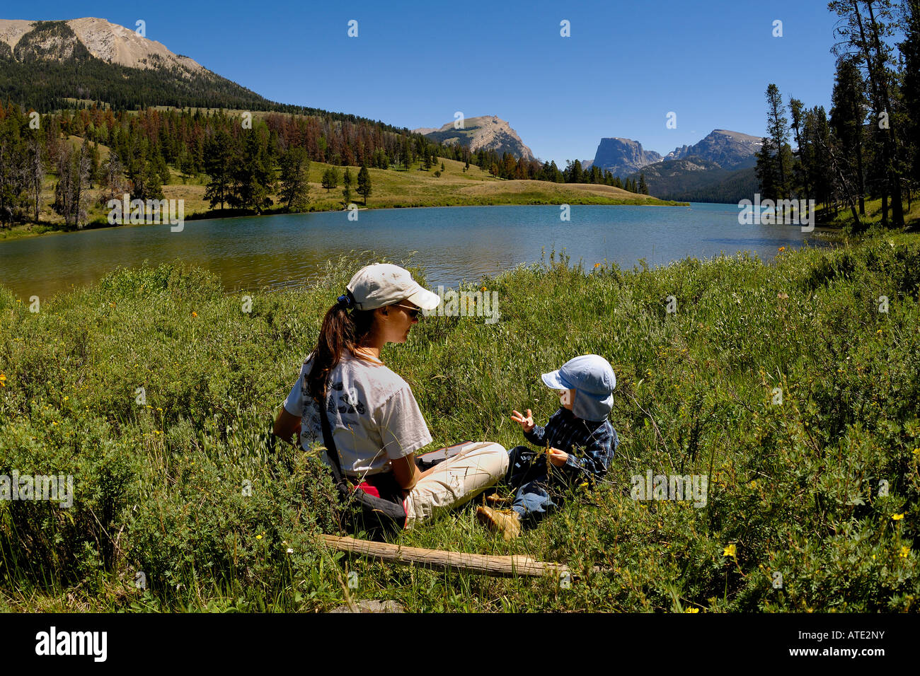 Green River Bridger Teton National Forest Wyoming Stock Photo