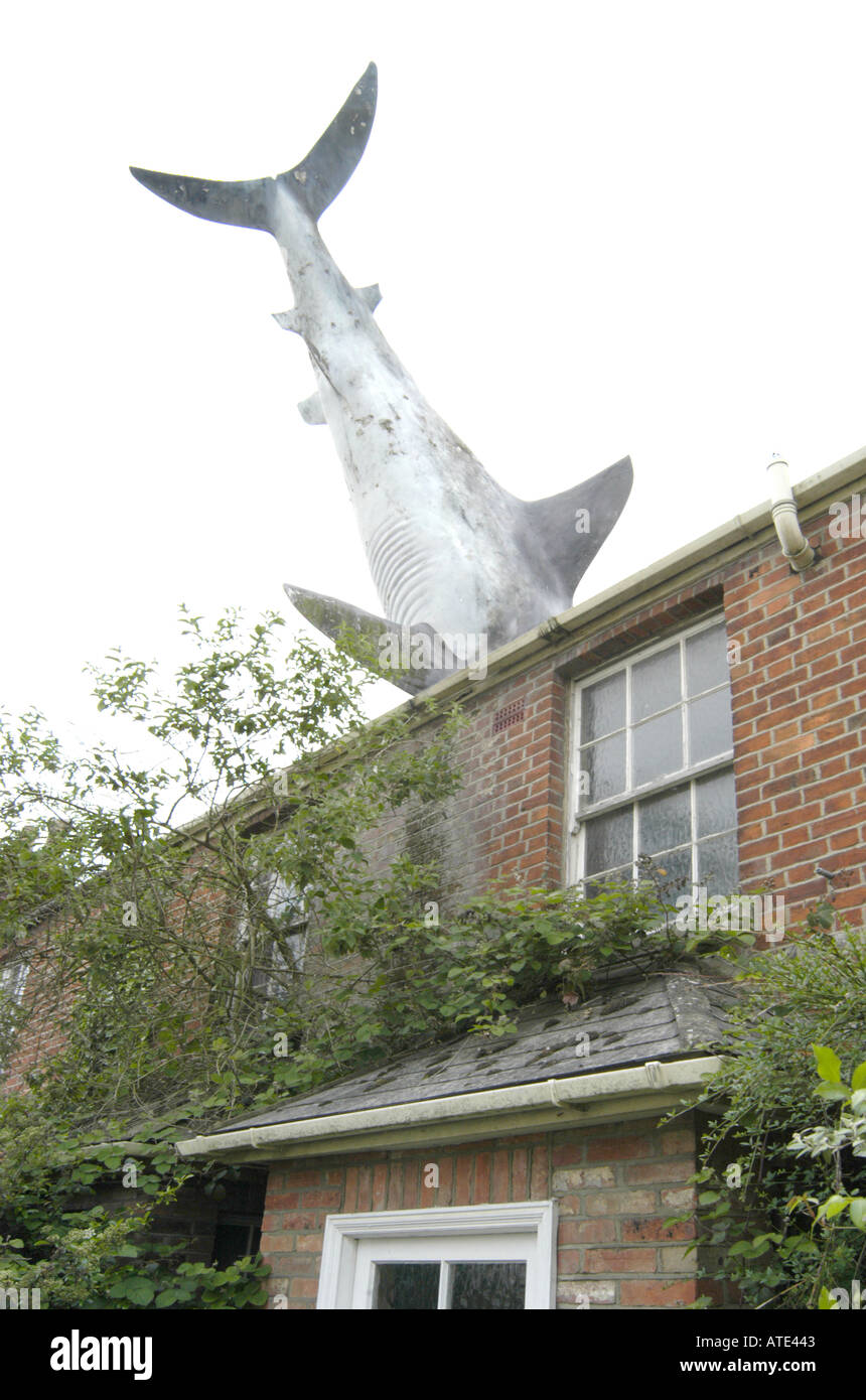 The Headington Shark Stock Photo Alamy