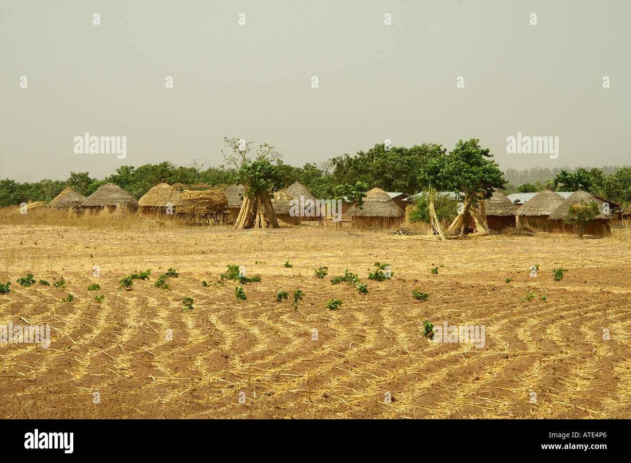 Fulani village Nigeria Africa Stock Photo Alamy
