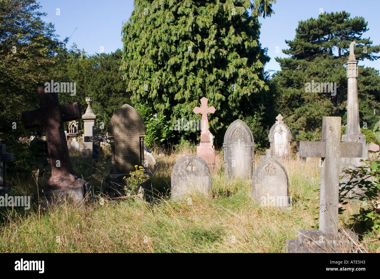 Victorian gravestones becoming part of a nature reserve Cathays ...