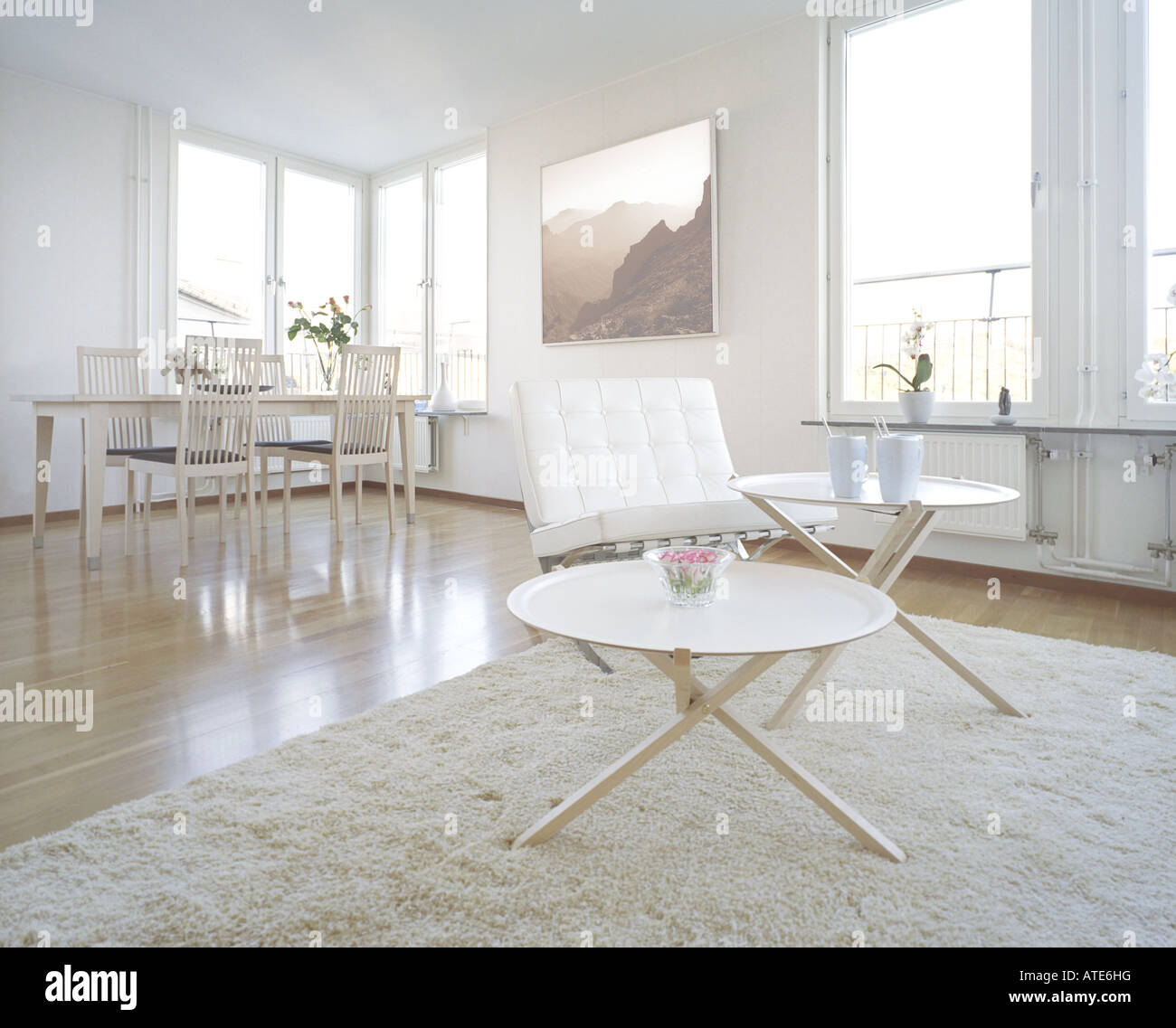Image showcasing modern trendy scandinavian interior Stock Photo - Alamy