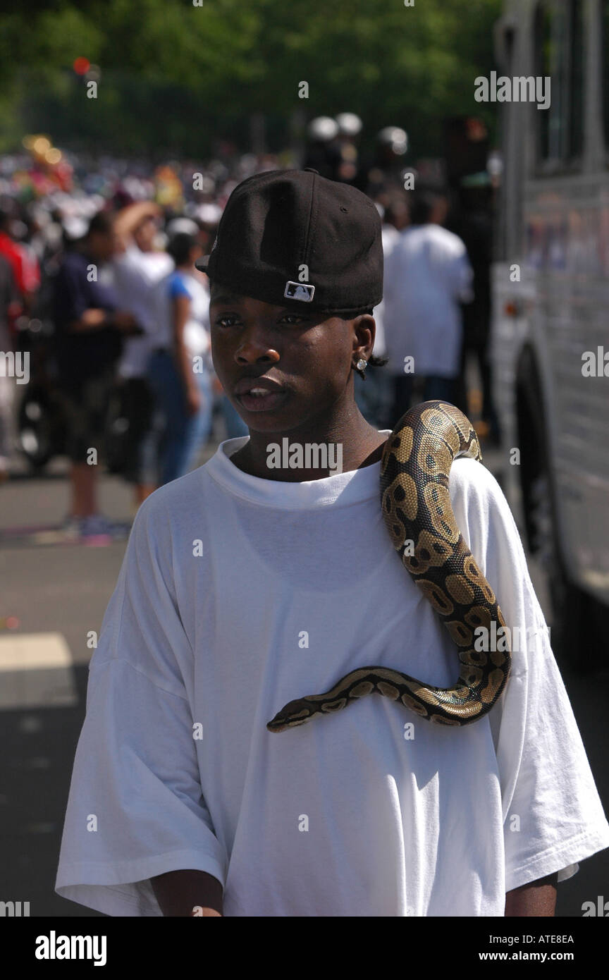 African American teen with snake at an urban festival, New Haven, CT USA Stock Photo