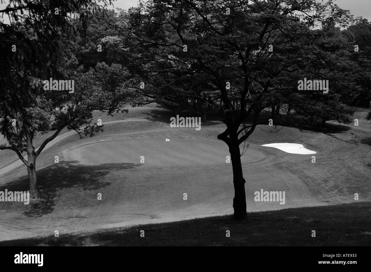 Golf course black and white landscape Stock Photo