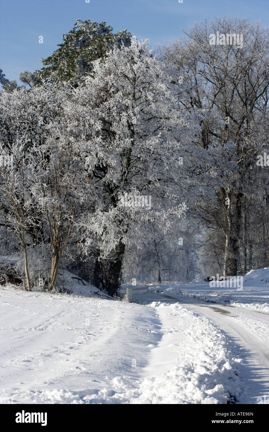 Ice sculptures covered snow hi-res stock photography and images - Alamy
