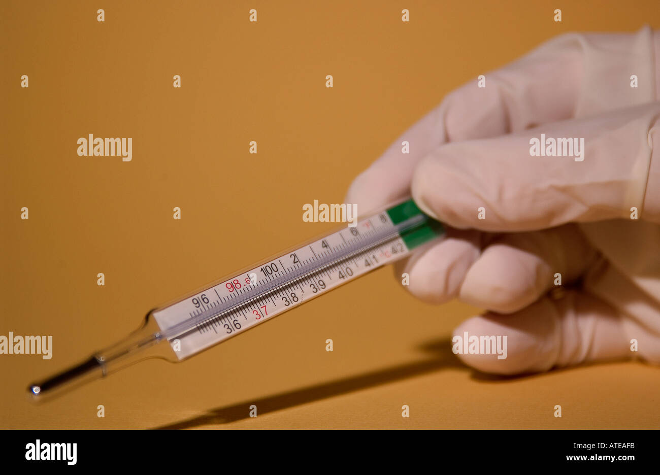 Closeup of Thermometer and Doctors Hand Stock Photo Alamy