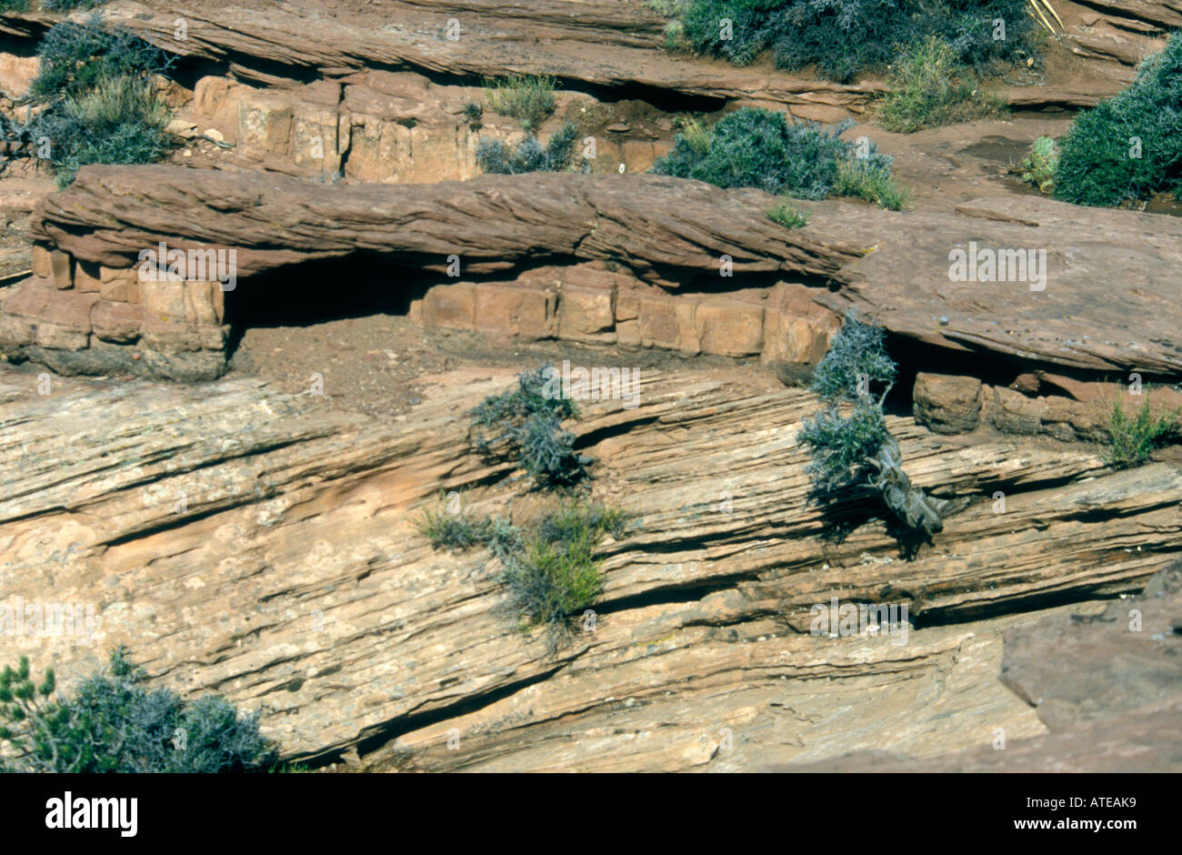 Canyon de Chelly The Four Corners Arizona USA Canyon rocks Stock