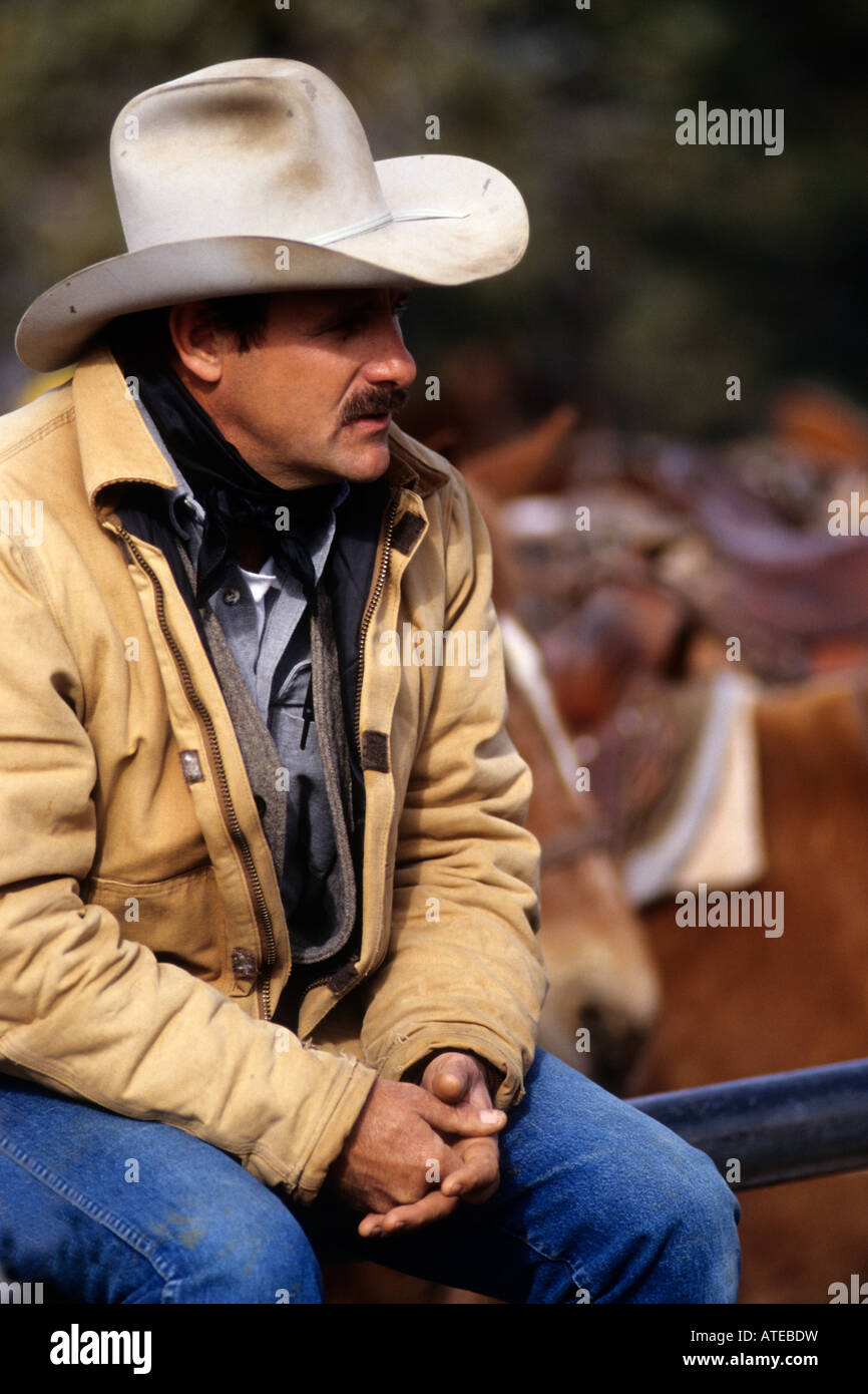 North american cowboy portrait hi-res stock photography and images - Alamy