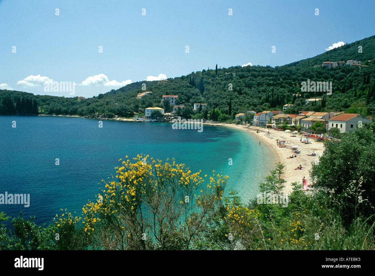 Trees and shrubs of corfu hires stock photography and images Alamy