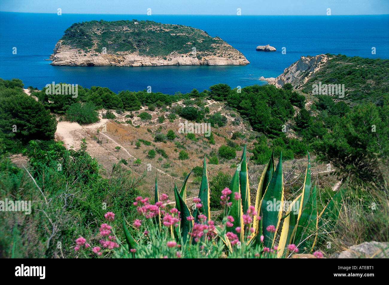 Viewed beyond a mass of pink flowers the pink tinged rocky mass of Isla de Portichol just offshore from the the wooded headland of Cabo de San Martin on the Costa Blanca Stock Photo