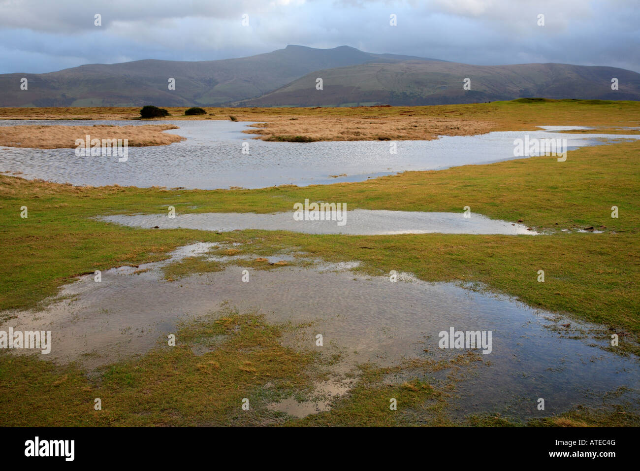 Pen y Fan from Mynydd Illtud Brecon Beacons Wales UK Stock Photo