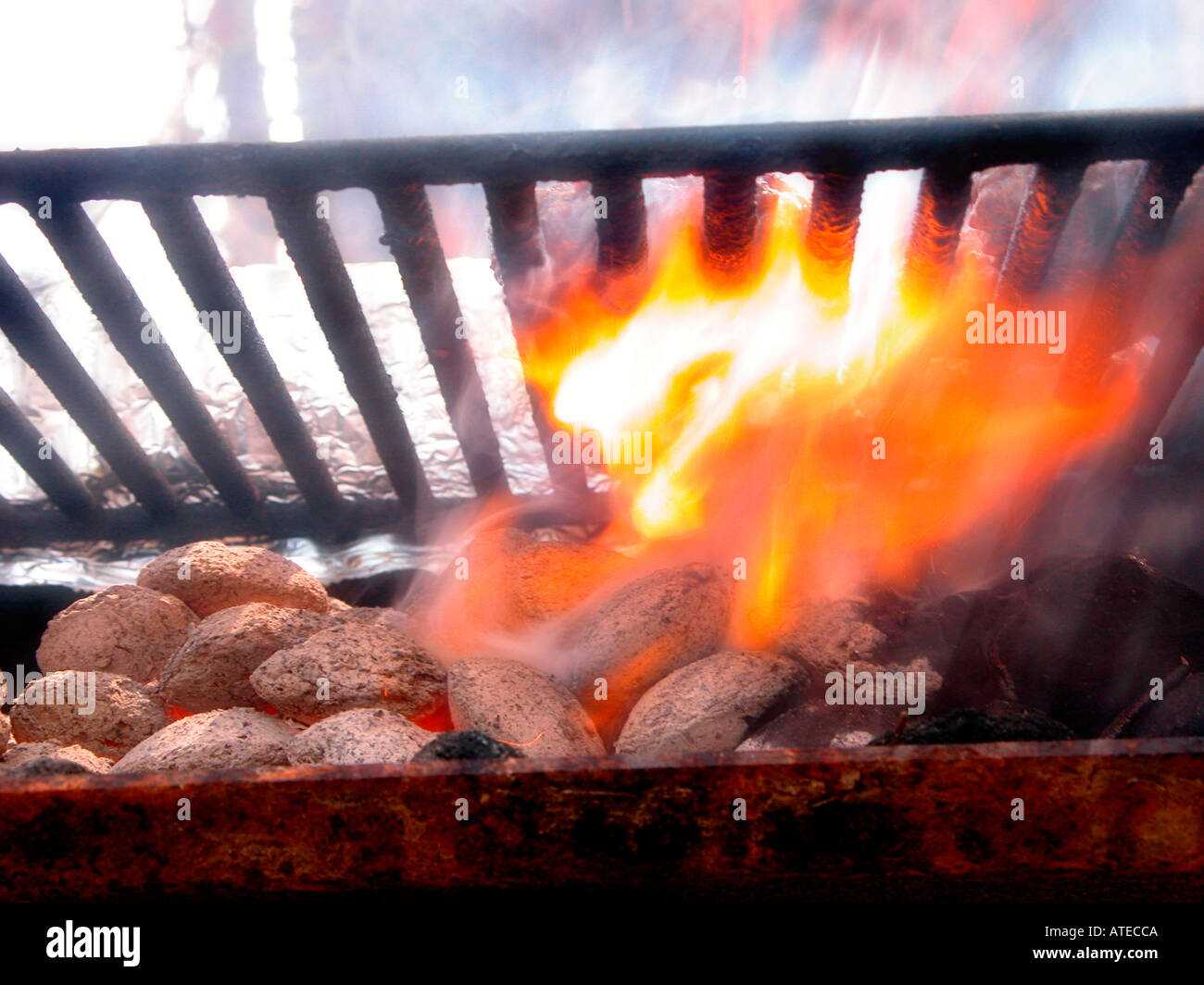 An out of control cookout Stock Photo