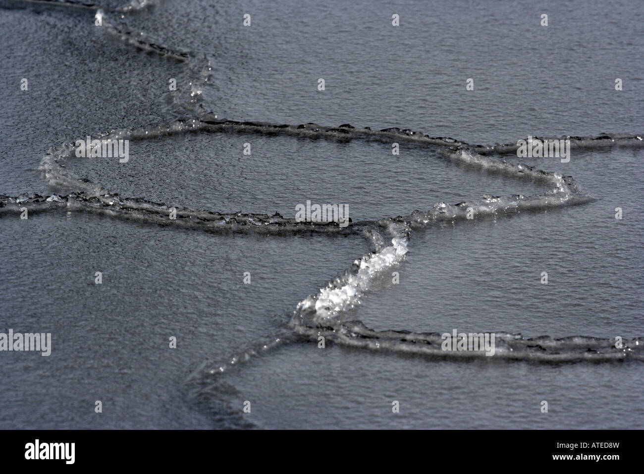 Ice formations on the surface of the sea Stock Photo
