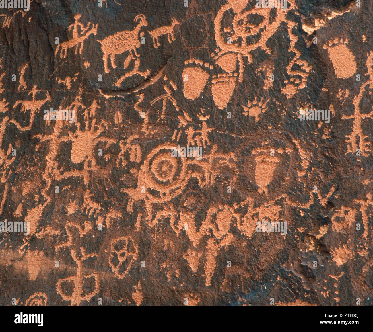 Petroglyphs High Resolution Stock Photography And Images Alamy