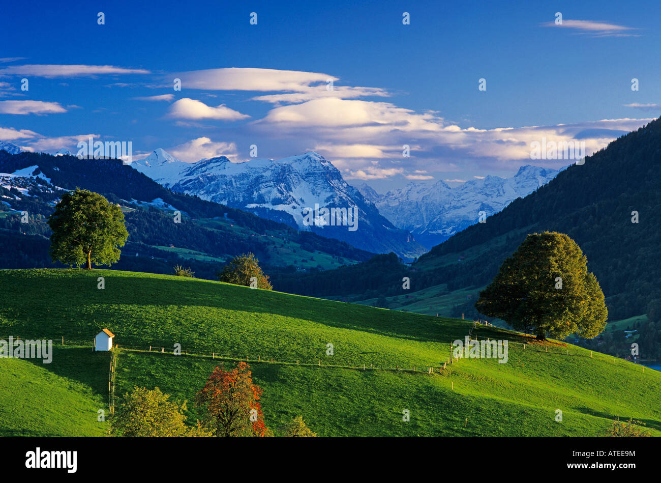 Oberaegeri hires stock photography and images Alamy