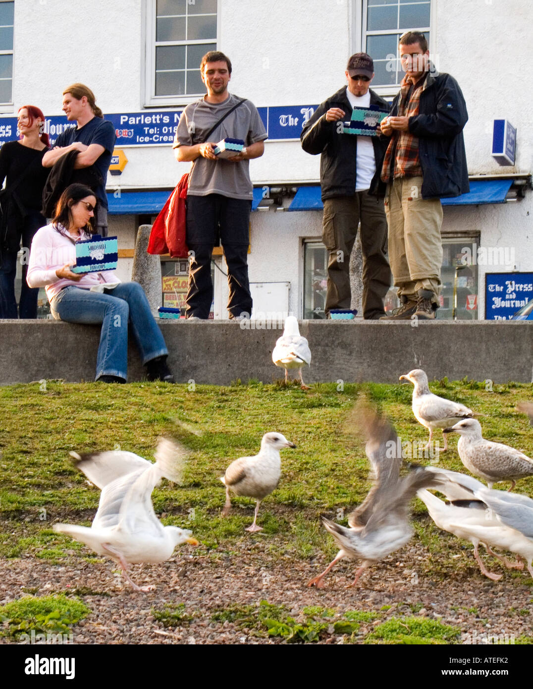 Fish and Chips Ullapool Scotland Stock Photo Alamy