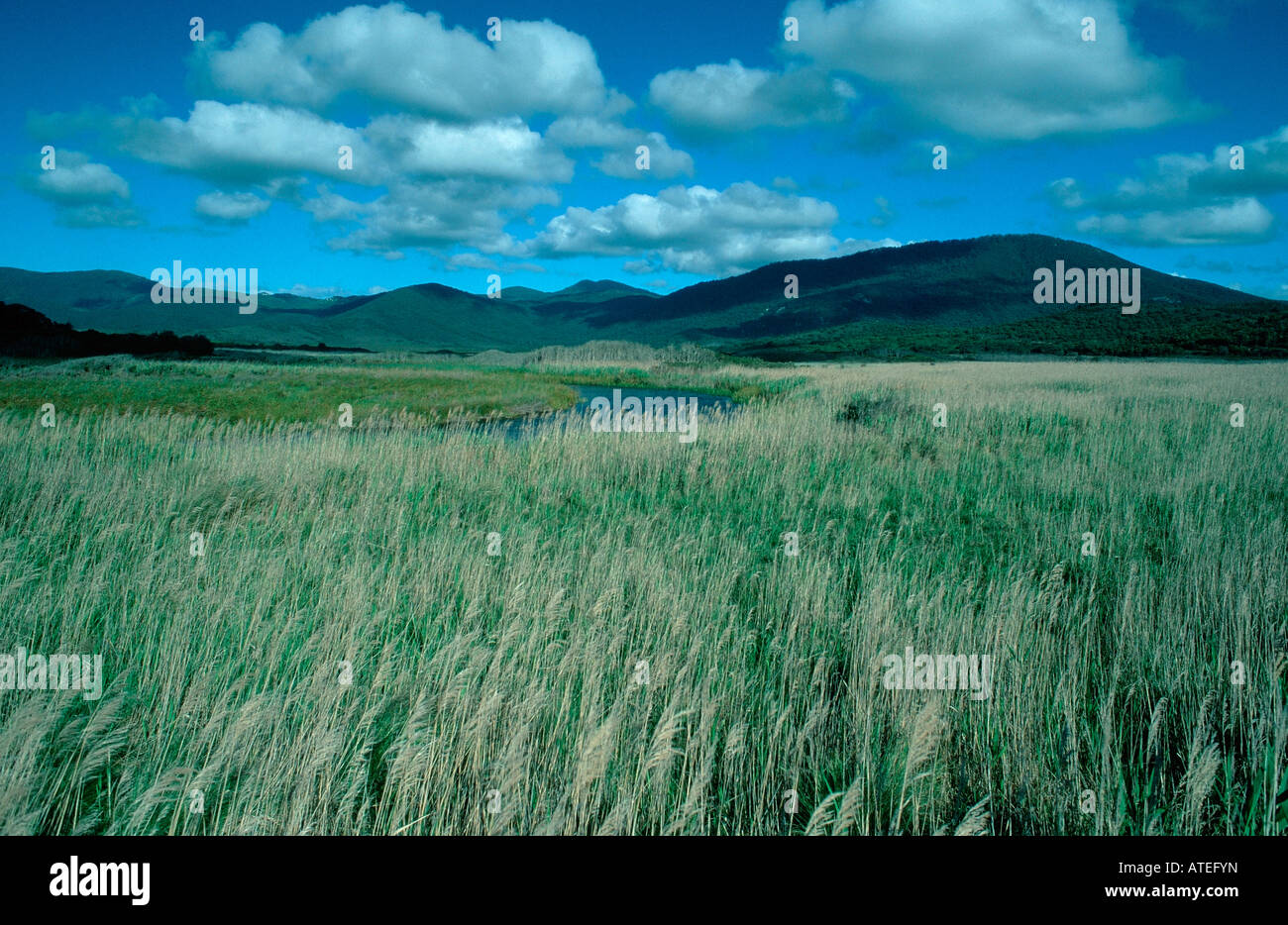 River and hills / Fluss und Huegel Stock Photo