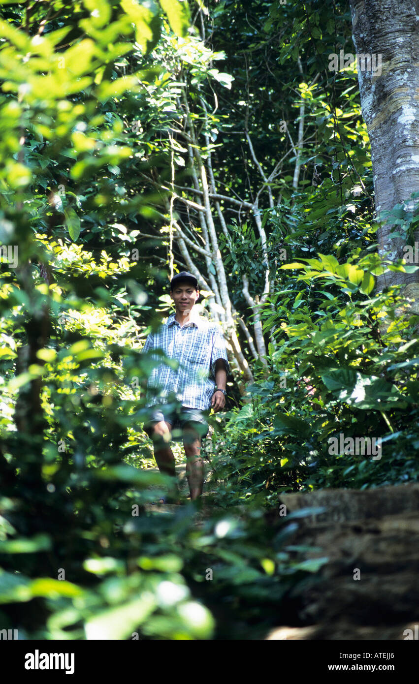A local man can be seen amongst the vegetation of the jungles of Cat Ba National Park Stock Photo