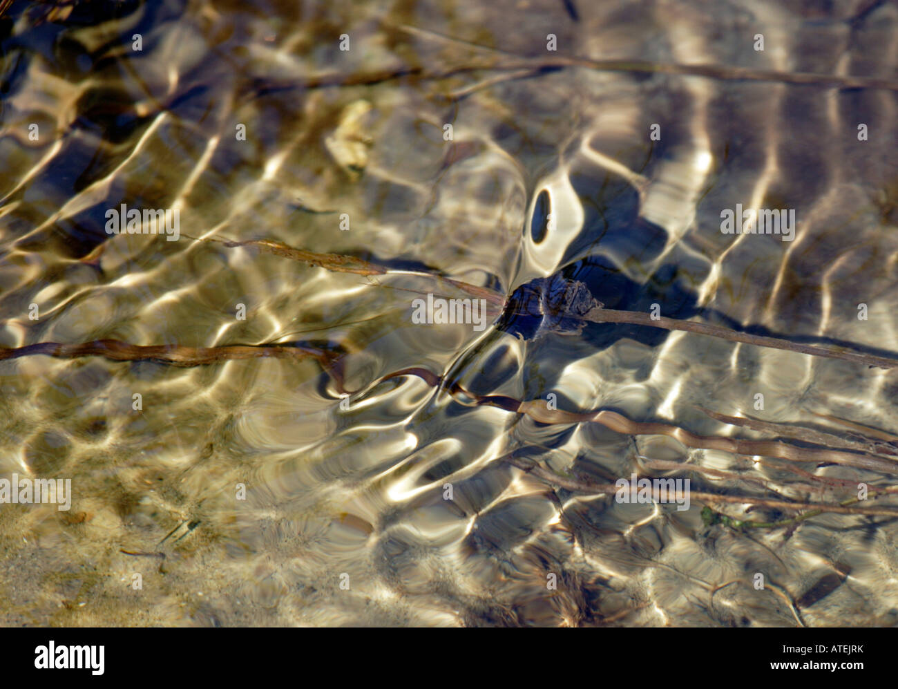 Murmuring spring rill Stock Photo
