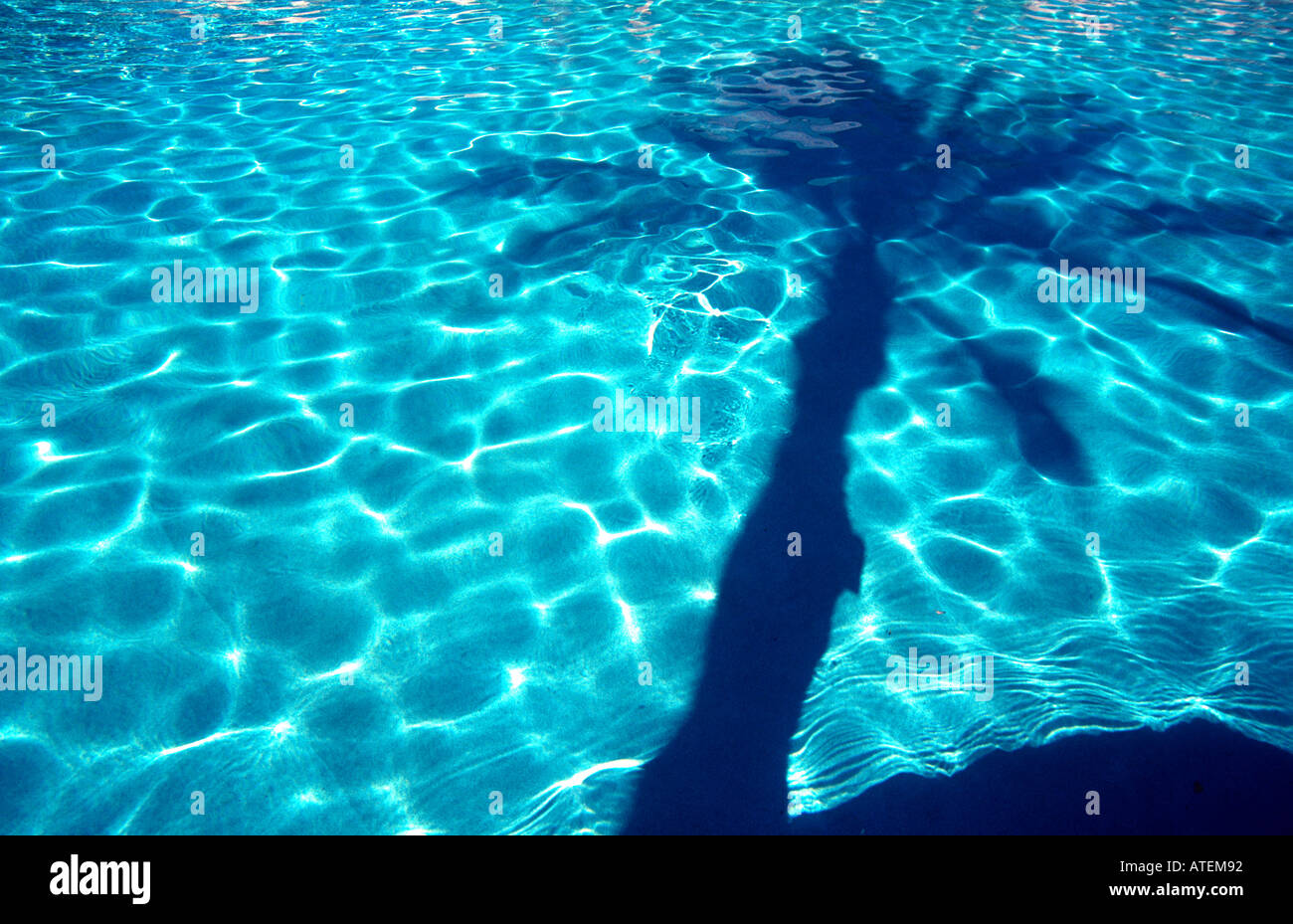 Reflection of a palm tree in a swimming pool Sharm el Sheikh Egyt Red Sea split level Stock Photo