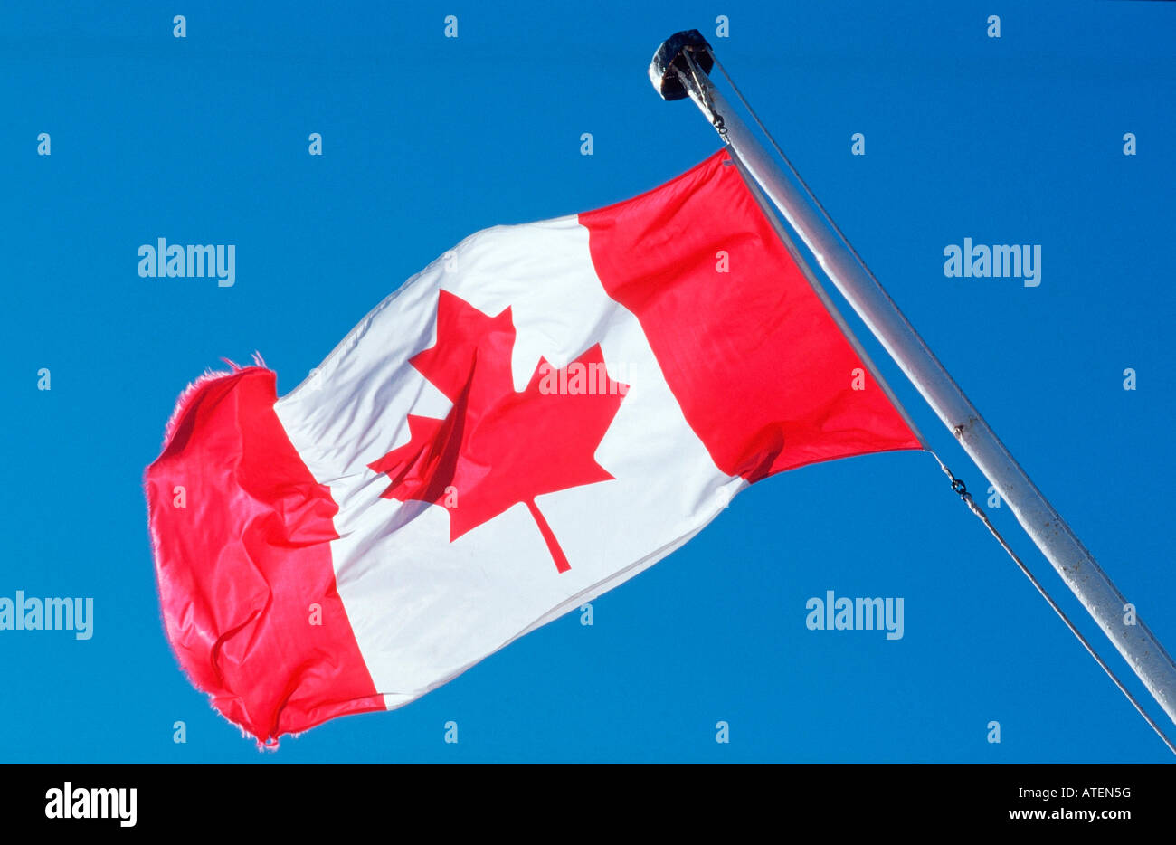 Flag of Canada / Flagge von Kanada Stock Photo