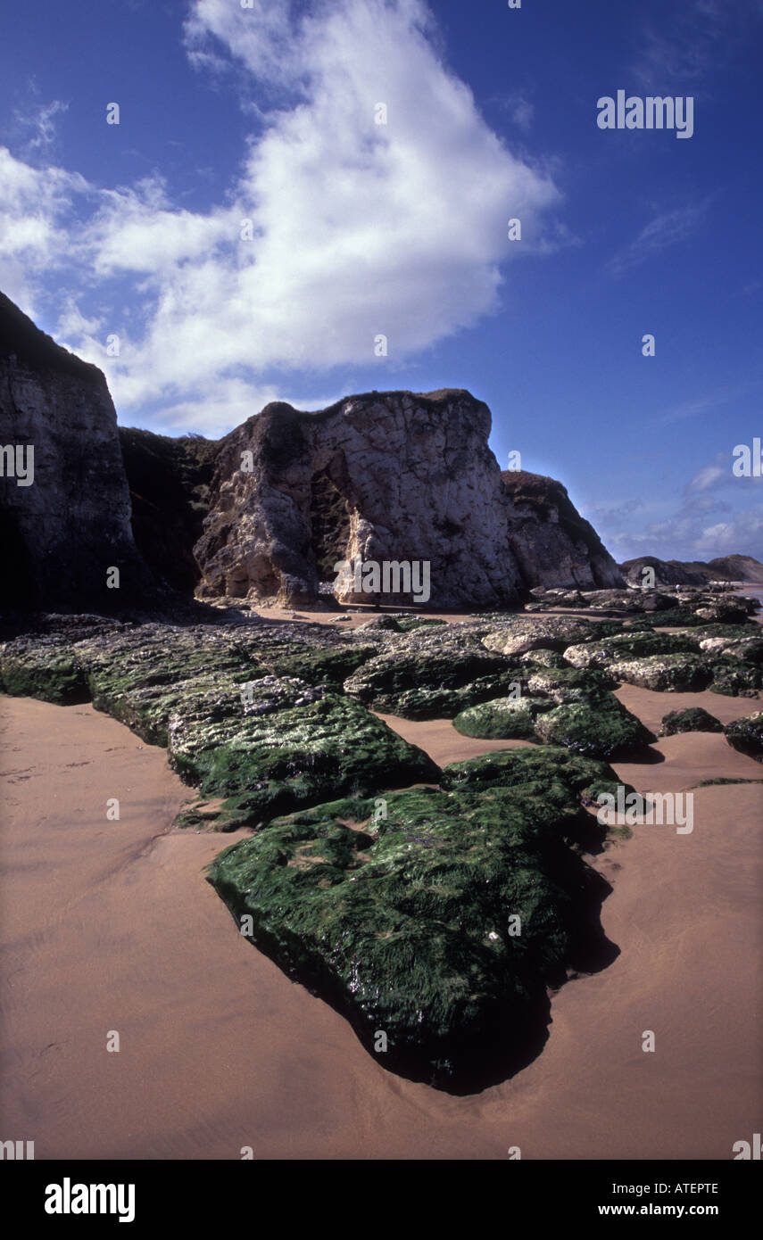 White and ireland hires stock photography and images Alamy