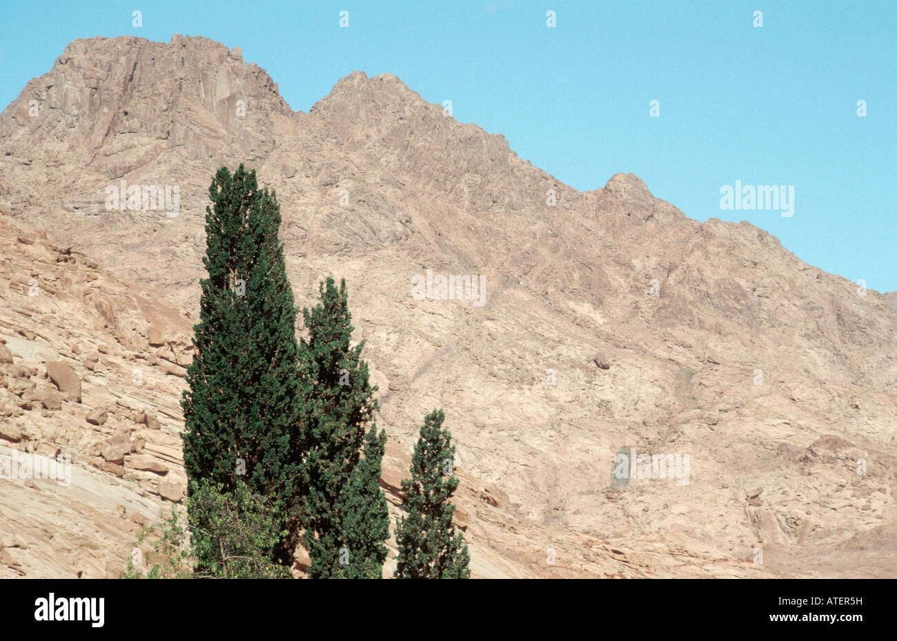 Sinai Mountains / Sinai-Gebirge Stock Photo