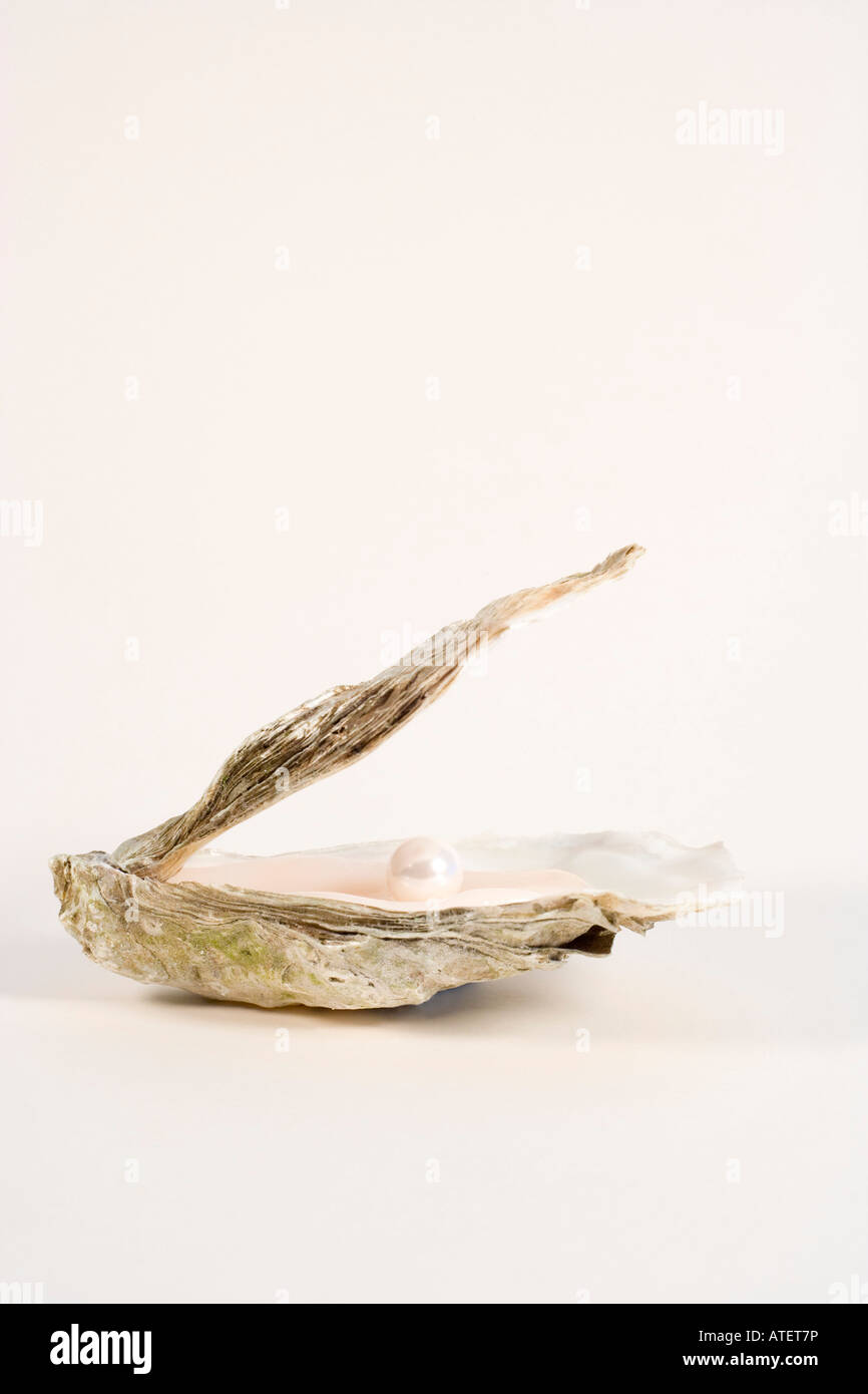 Pearl oyster shell hi-res stock photography and images - Alamy