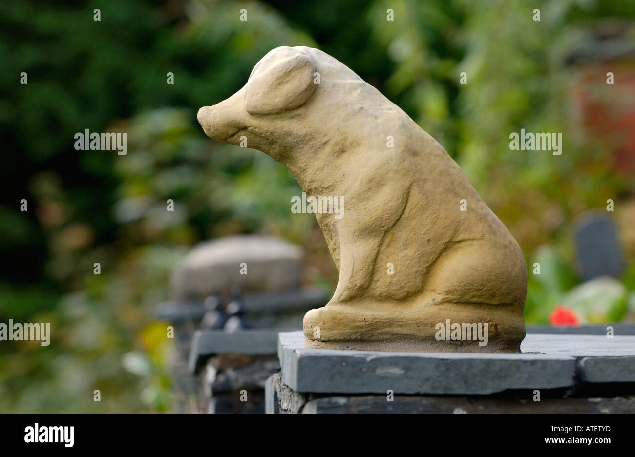 Stone pig orament sitting on slate garden wall in Corris Gwynedd North Wales UK Stock Photo