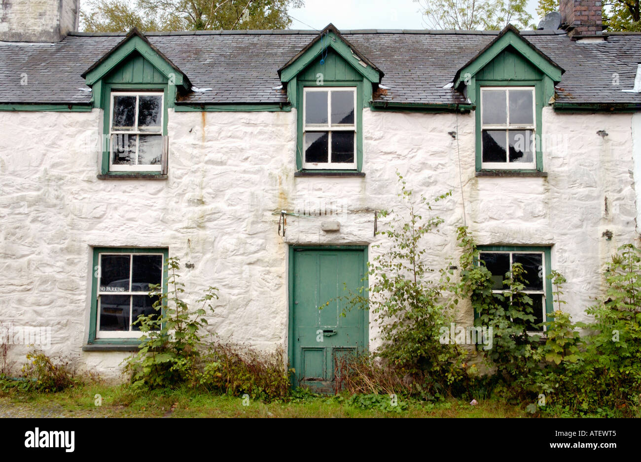 Traditional stone cottage overgrown and in need of renovation Dolgellau