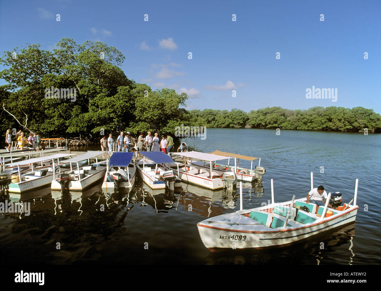 Isla Margarita Nueva Esparta State Venezuela Tourists boarding excursion boats in La Restinga National Park lagoon Stock Photo