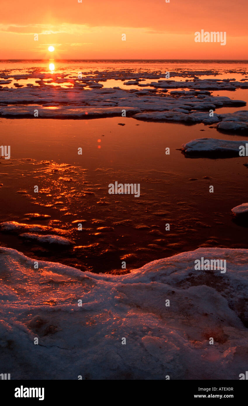 Ice floes at sunset Stock Photo - Alamy