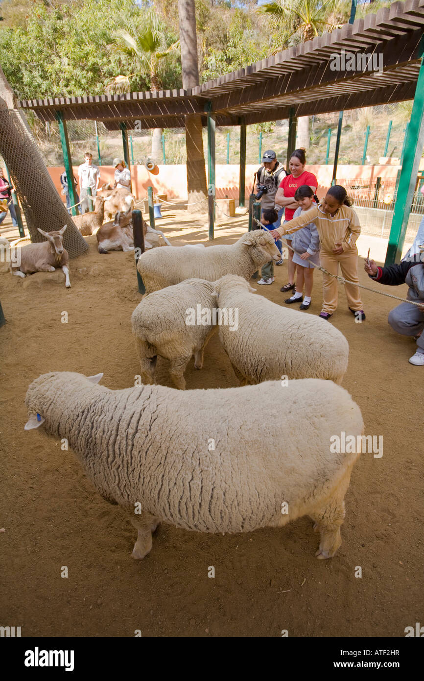 Petting Zoo, Los Angeles Zoo, Griffith Park, Los Angeles, USA Stock