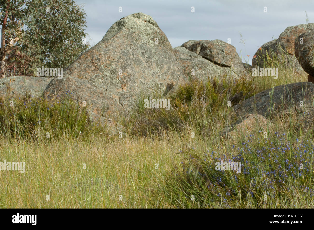 Narrogin western australia hires stock photography and images Alamy