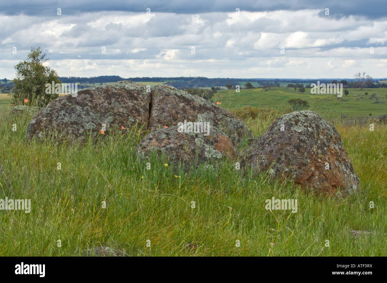 Granite Outcrop Eden Valley Farm Narrogin Western Australia September