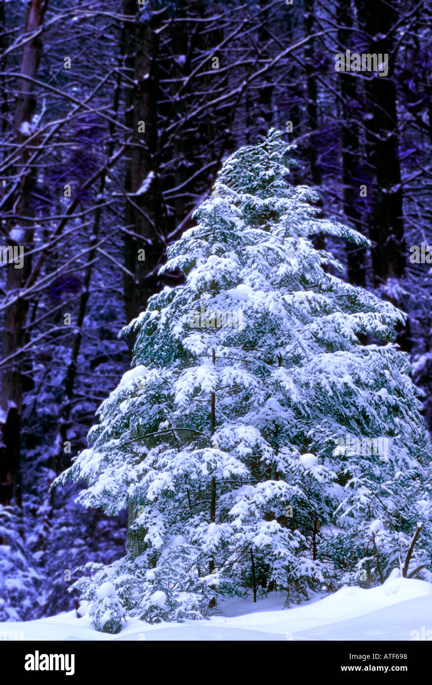 Underhill vt hires stock photography and images Alamy