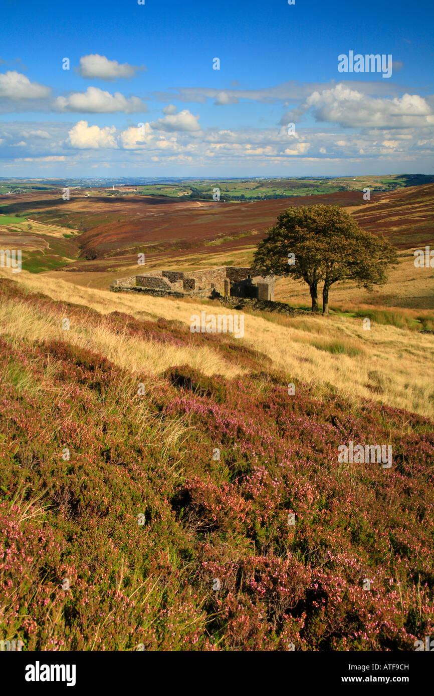 Top Withens, Pennine Way, Haworth Moor, Haworth, West Yorkshire