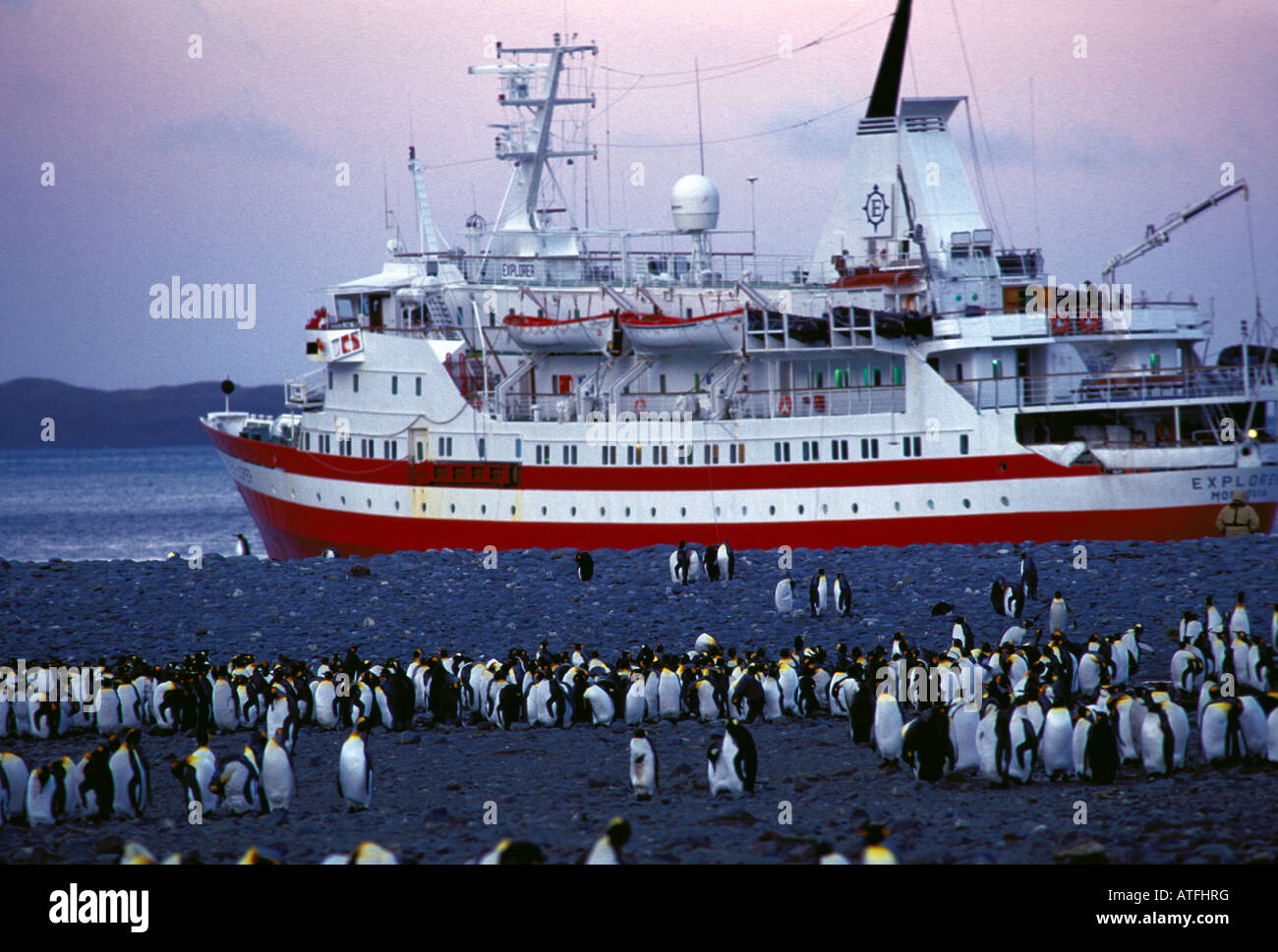 King Penguins and Ship Stock Photo - Alamy