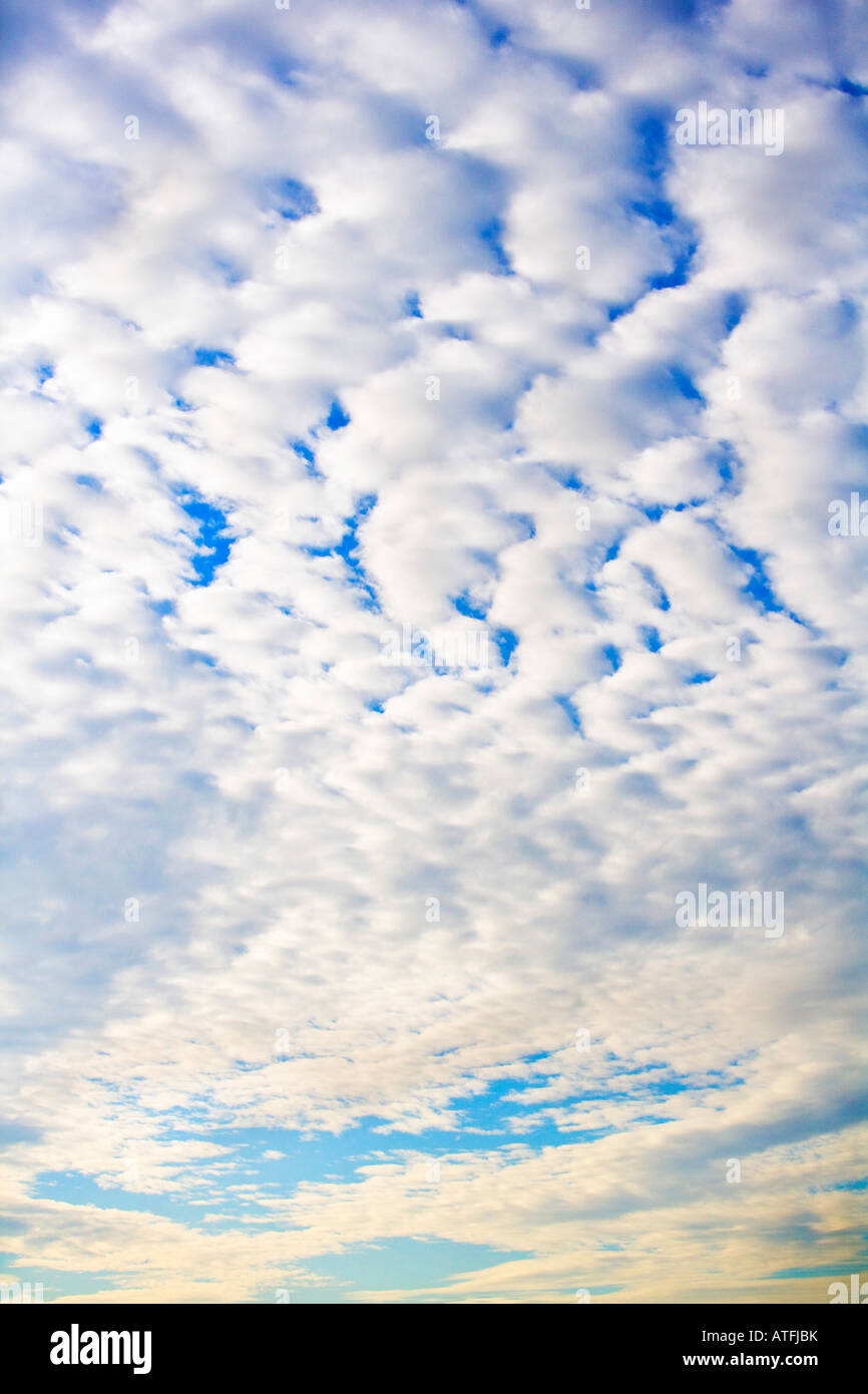 Herringbone clouds hires stock photography and images Alamy