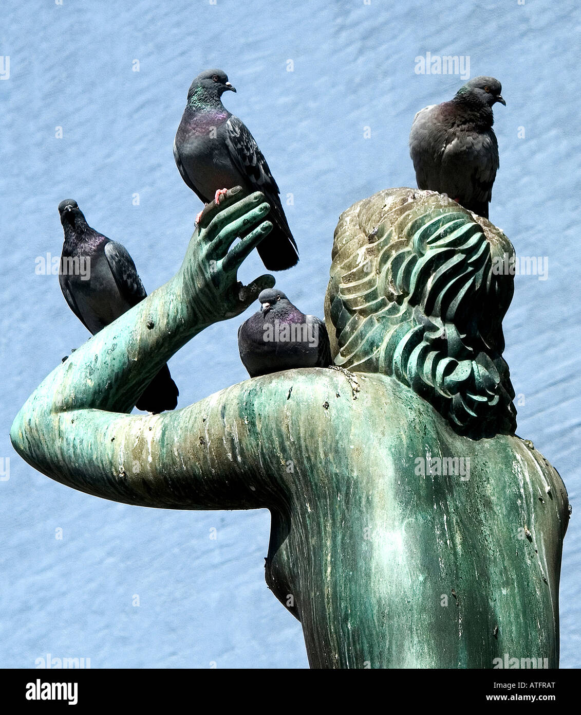 Pigeons on statue Stock Photo - Alamy