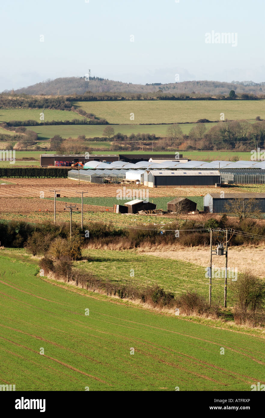 The Vale of Evesham at Offenham, Worcestershire, England, UK Stock Photo Alamy
